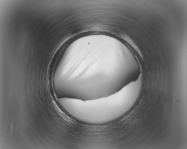 X0000082740972200702161929