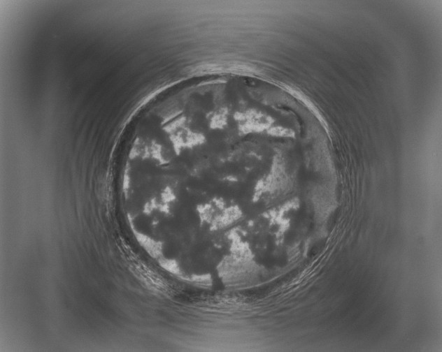 X0000082740975200702161929