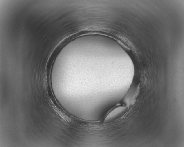 X0000082740976200702161929