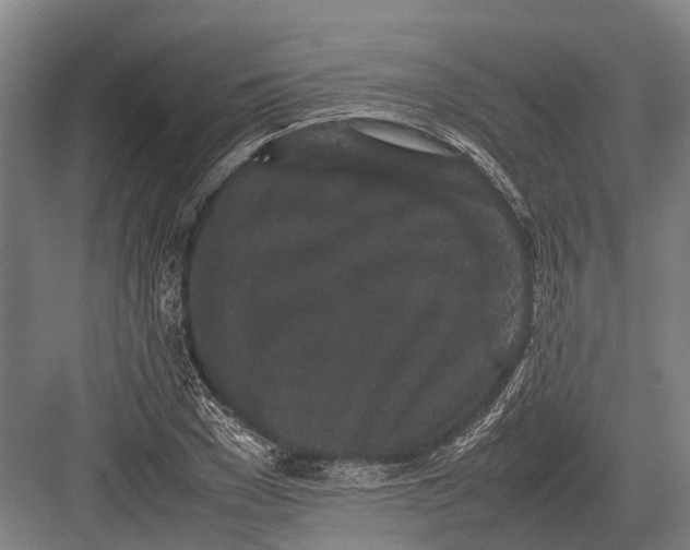 X0000082740977200702161929