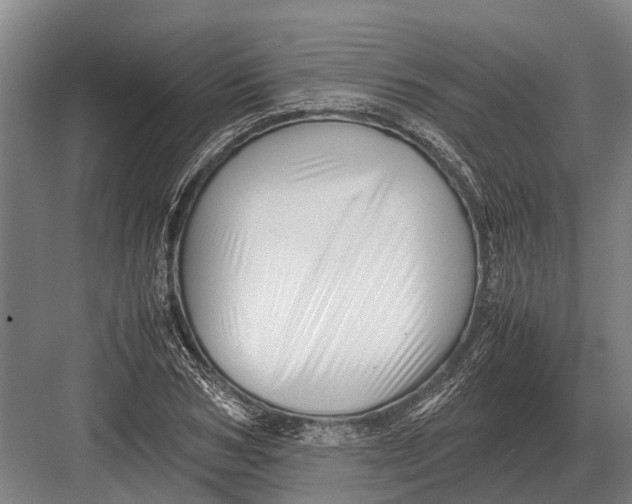 X0000082740978200702161929