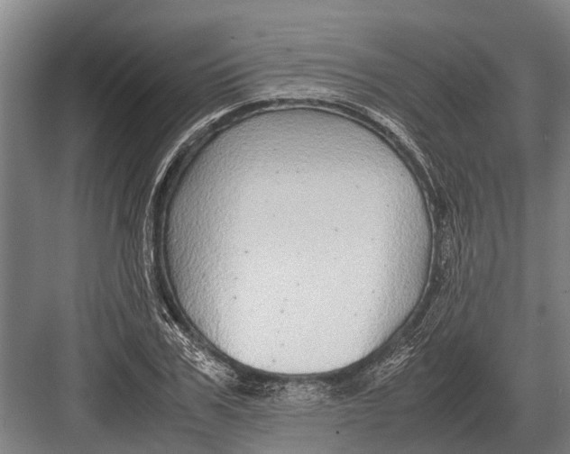 X0000082740979200702161929