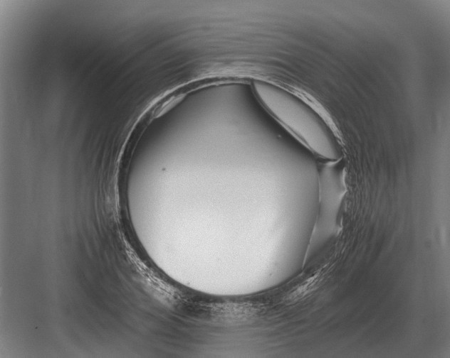 X0000082740980200702161928