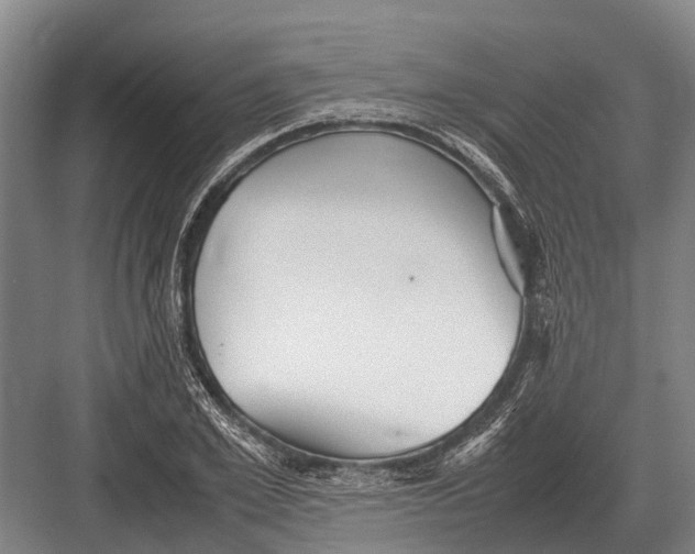 X0000082740981200702161928