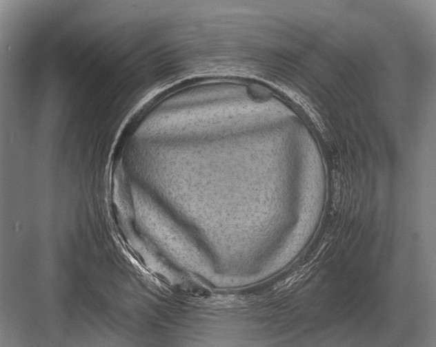 X0000082740982200702161928