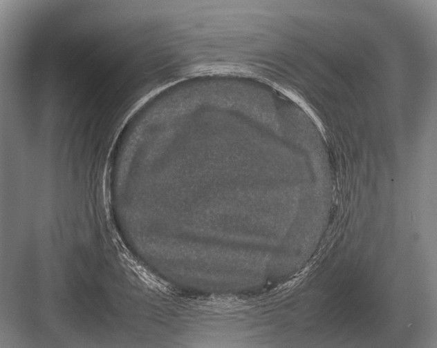 X0000082740983200702161928