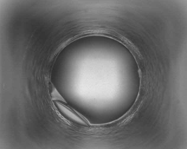 X0000082740985200702161928