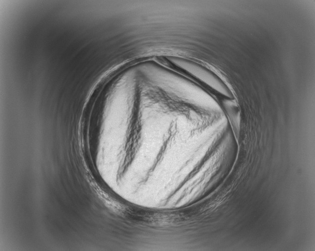 X0000082740987200702161928