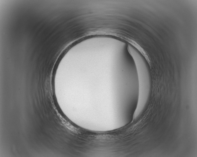 X0000082740988200702161928