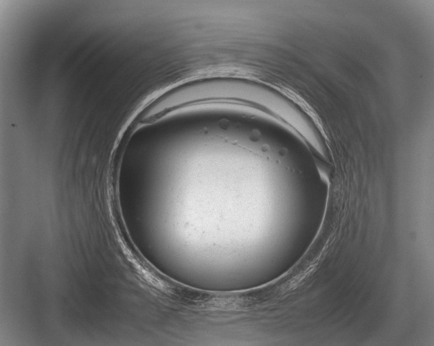 X0000082740989200702161928