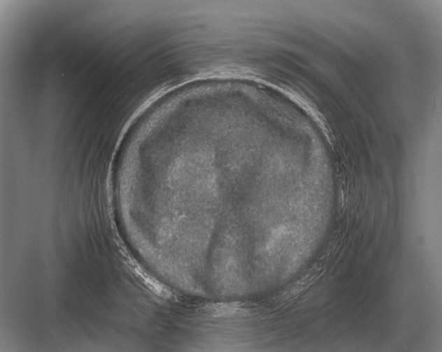 X0000082740990200702161928