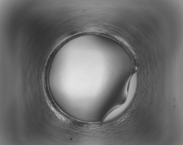 X0000082740991200702161928