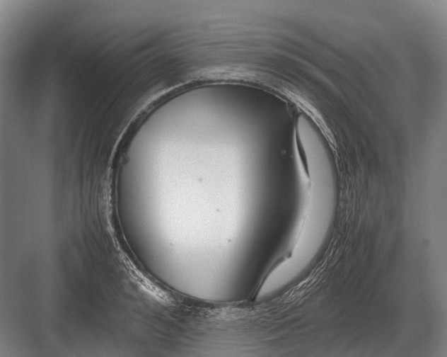 X0000082740992200702161928