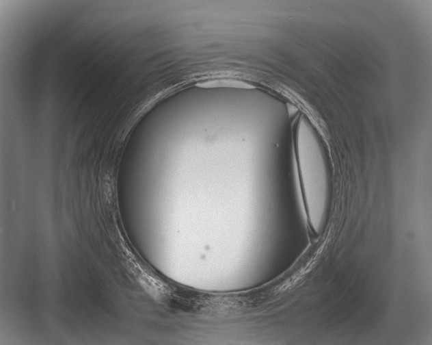 X0000082740993200702161928