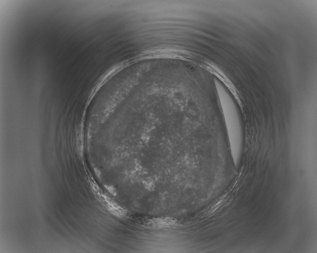 X0000082740994200702161928