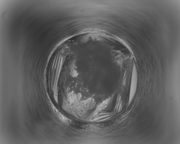 X0000082740995200702161928