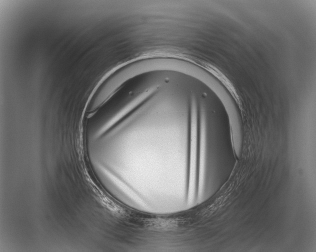 X0000082740996200702161928