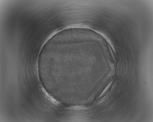 X0000082740998200702161928