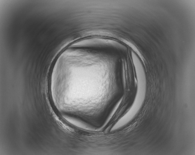 X0000082740999200702161928