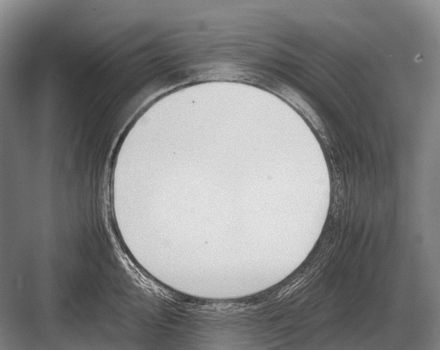 X0000082741000200702161928