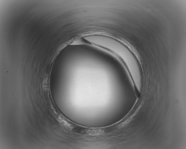 X0000082741001200702161928