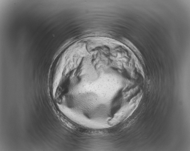 X0000082741002200702161928