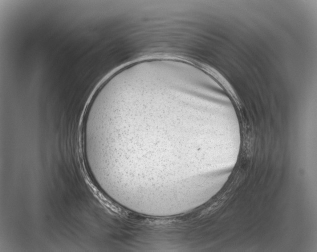 X0000082741004200702161928