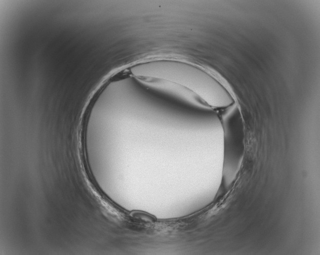 X0000082741005200702161928