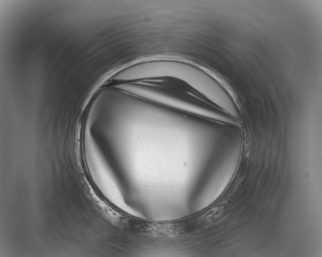 X0000082741006200702161928