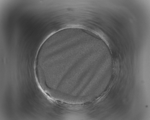 X0000082741007200702161928