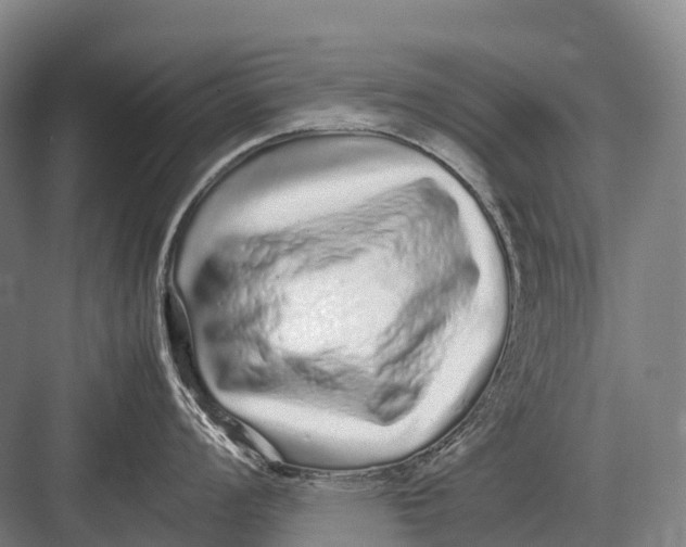 X0000082741008200702161928