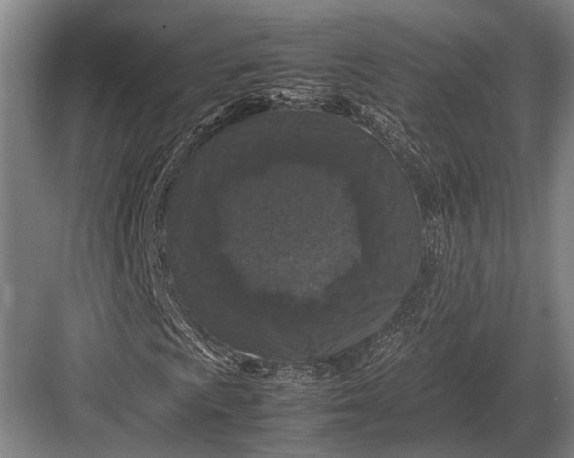 X0000082741009200702161927