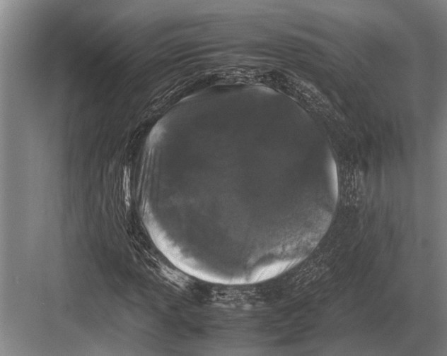 X0000082741013200702161927