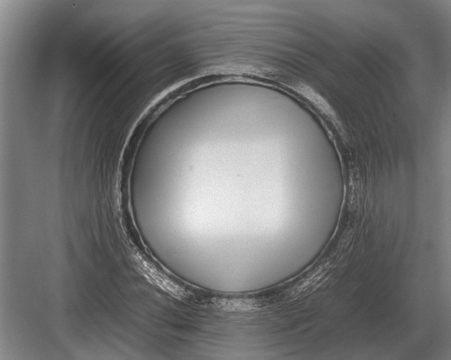 X0000082741020200702161927