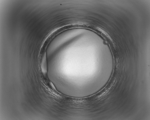 X0000082741021200702161927