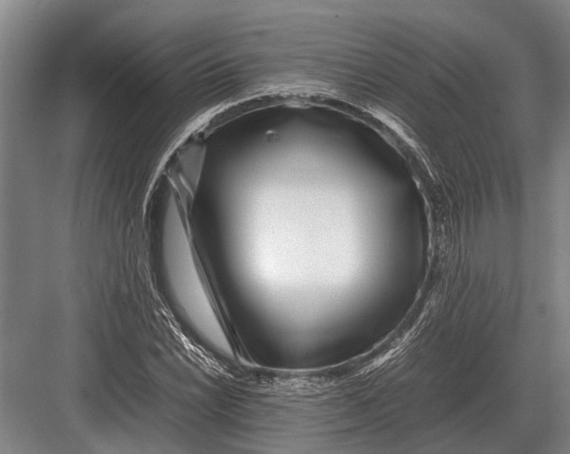 X0000082741022200702161927