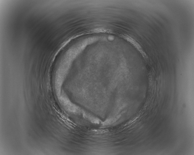 X0000082741023200702161927