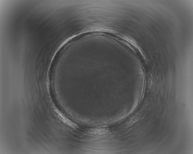 X0000082741024200702161927