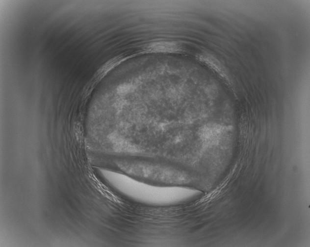 X0000082741025200702161927