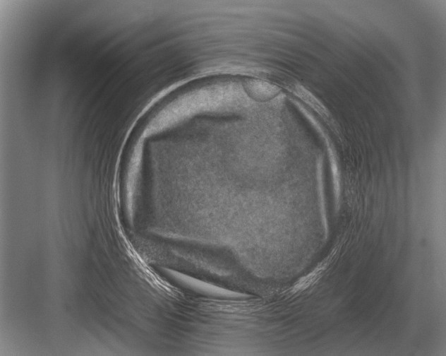 X0000082741028200702161928