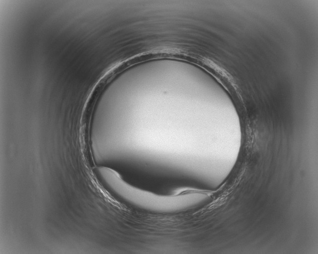 X0000082741029200702161928