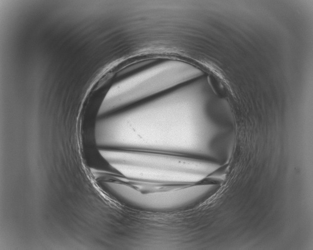 X0000082741030200702161928