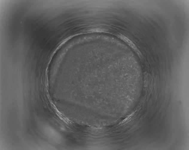 X0000082741031200702161928