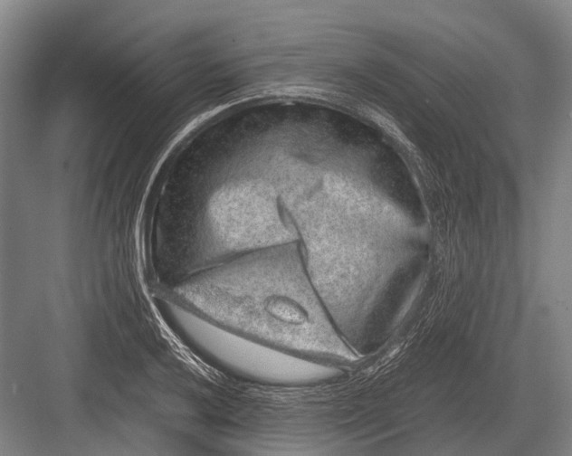 X0000082741032200702161928