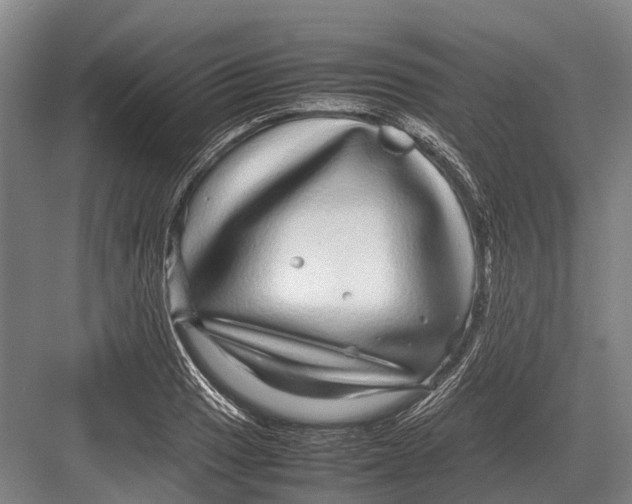 X0000082741033200702161928