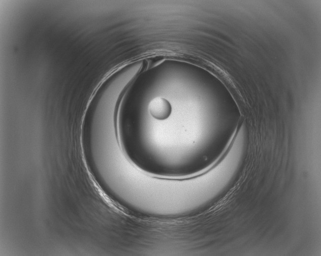 X0000082741034200702161928