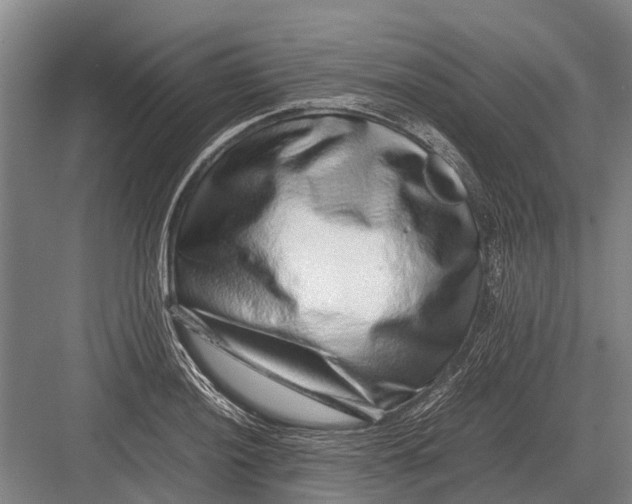 X0000082741036200702161928