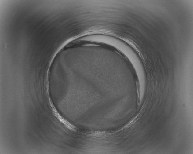 X0000082741038200702161928