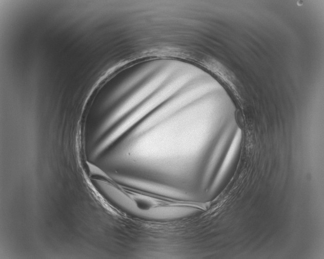 X0000082741040200702161928