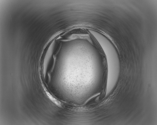 X0000082741042200702161928